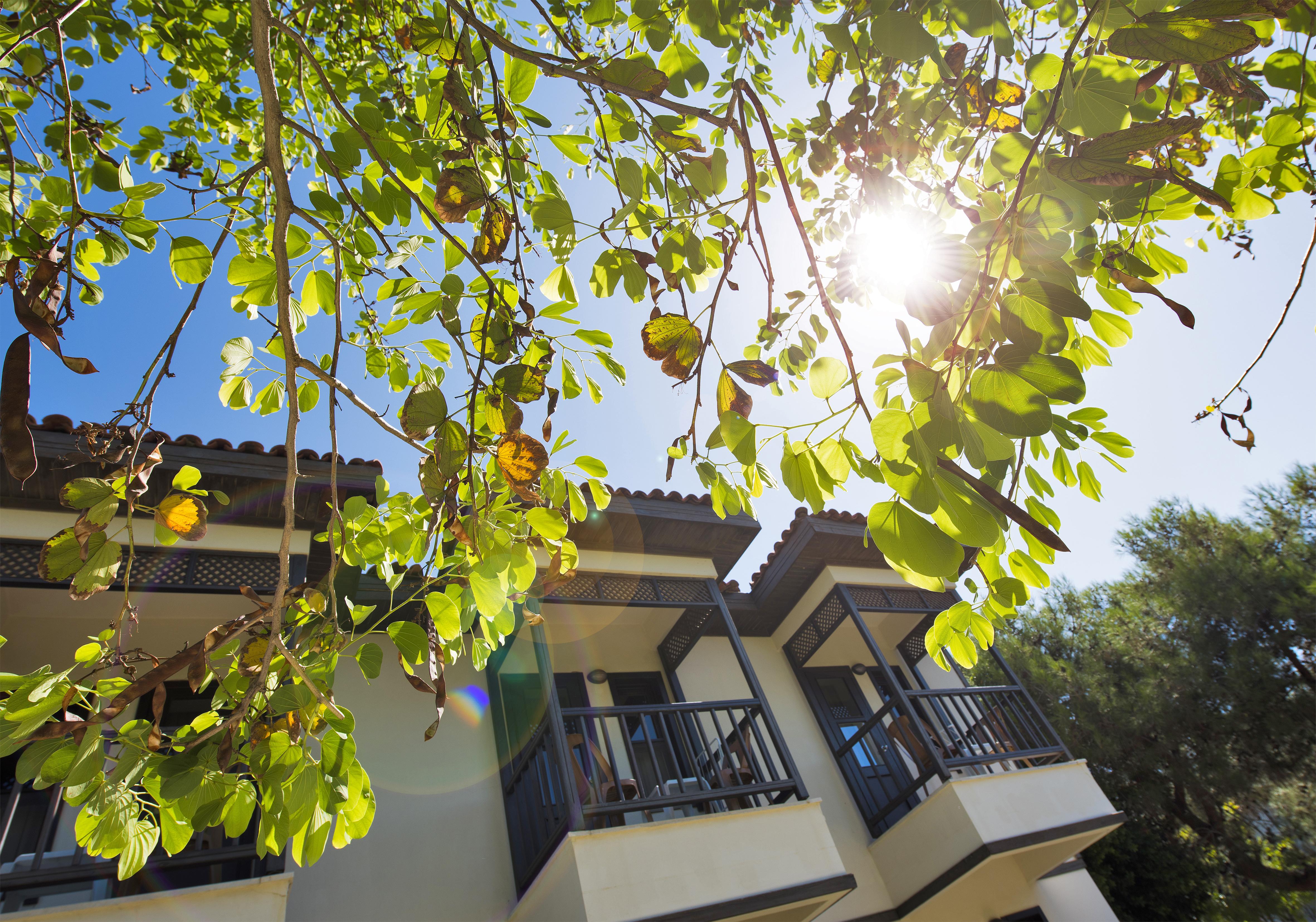 Club Nena Hotel Kızılağaç Exterior foto
