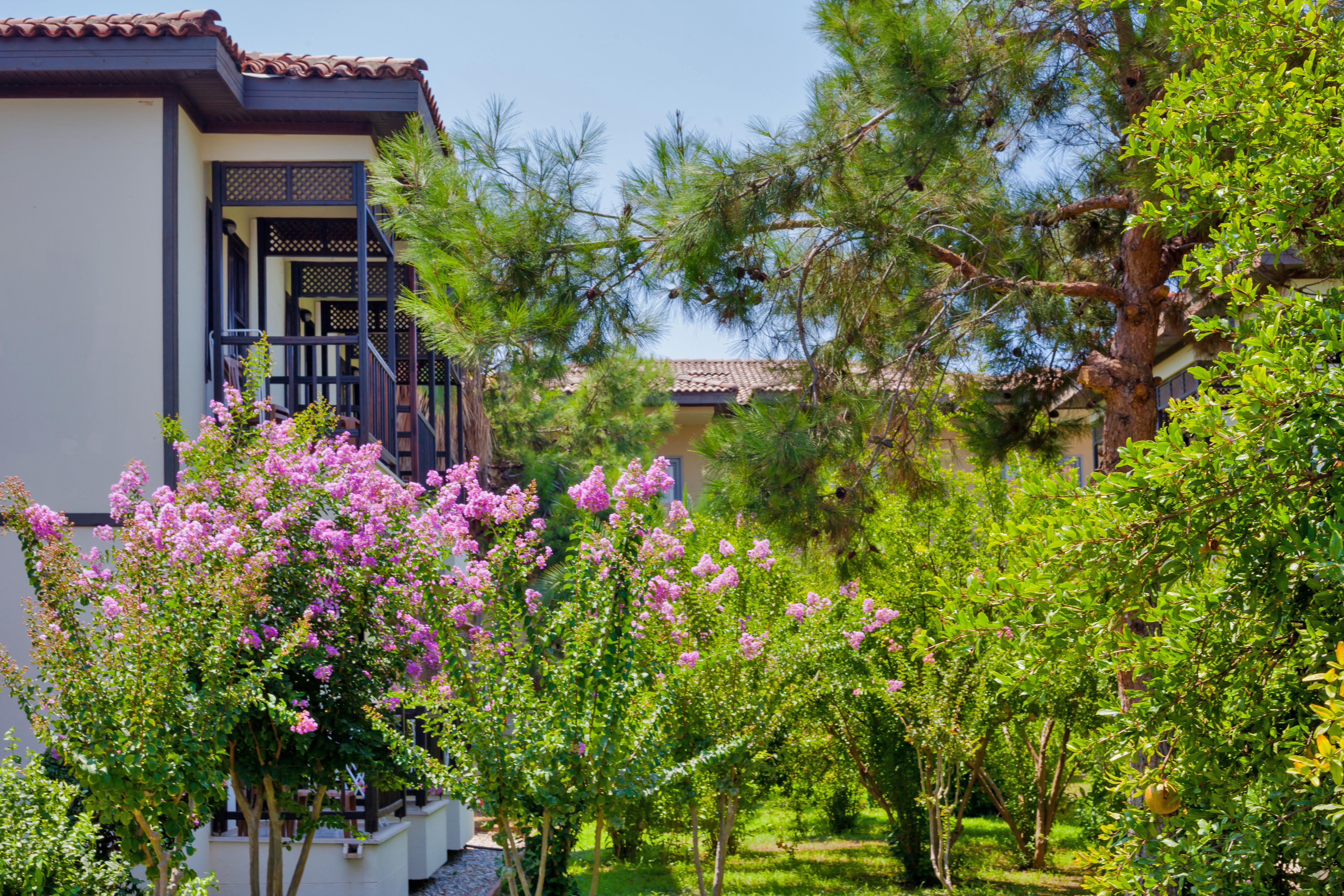 Club Nena Hotel Kızılağaç Exterior foto