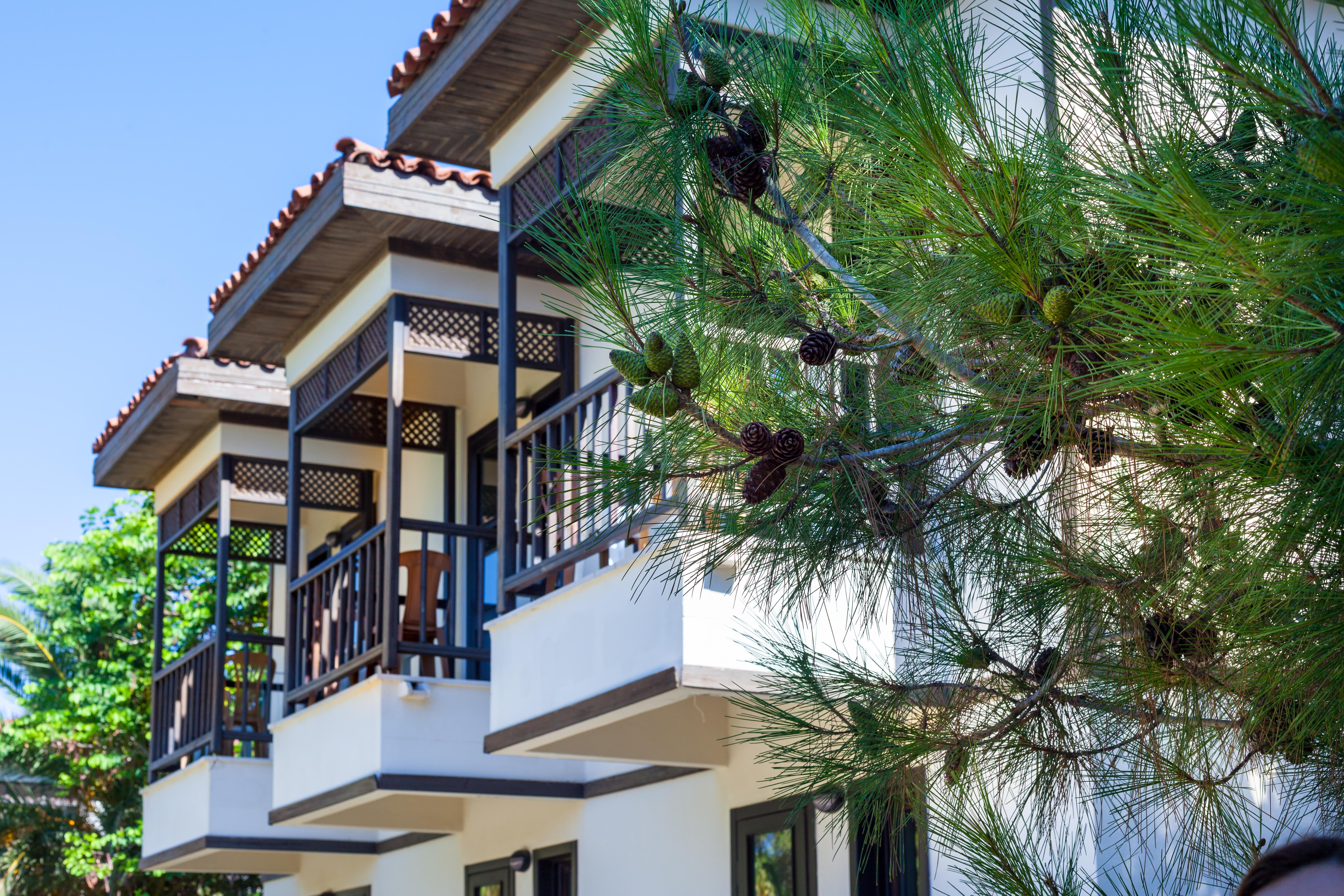 Club Nena Hotel Kızılağaç Exterior foto